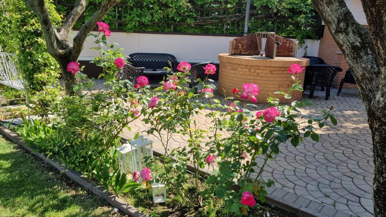 Fontana Oasis Apartments Castelnuovo del Garda Ngoại thất bức ảnh