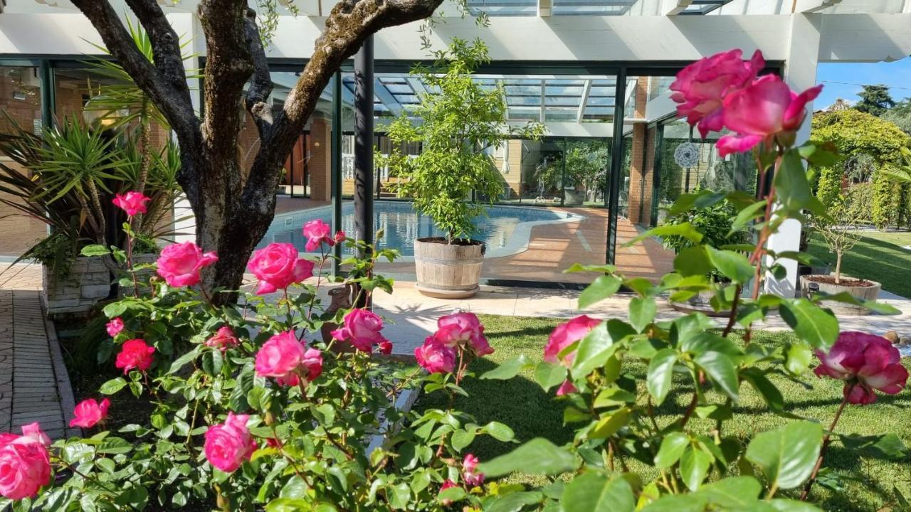 Fontana Oasis Apartments Castelnuovo del Garda Ngoại thất bức ảnh